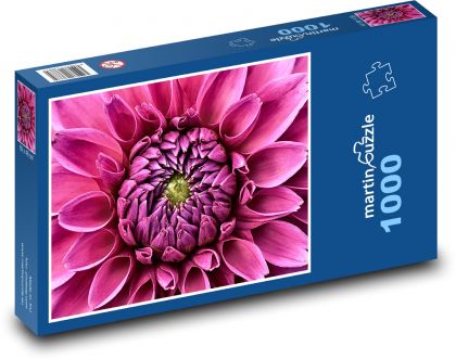 Rosa Dahlie - Blume, Garten - Puzzle - 1000 Teile