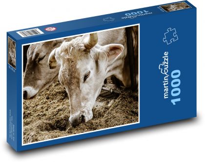Krávy - stodola, farma - Puzzle 1000 dílků, rozměr 60x46 cm
