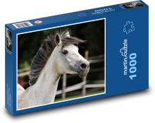 Weißes Pferd - Tier, Reiten Puzzle 1000 Teile - 60 x 46 cm