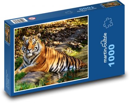 Tygr ve vodě - divoká kočka - Puzzle 1000 dílků, rozměr 60x46 cm