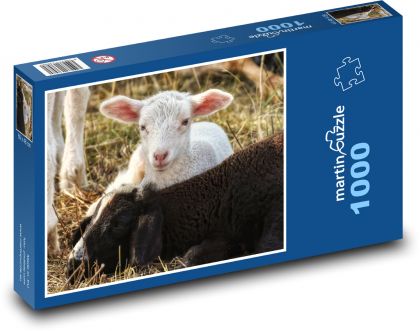 Lamb - sheep, farm - Puzzle 1000 pieces, size 60x46 cm 