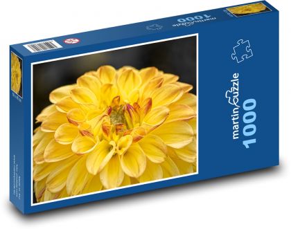 Žltá georgína - záhradný kvet - Puzzle 1000 dielikov, rozmer 60x46 cm