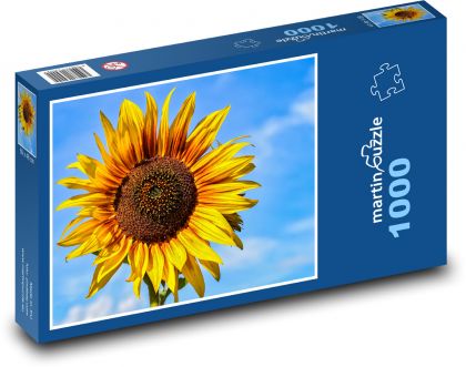 Slunečnice - žlutá květina - Puzzle 1000 dílků, rozměr 60x46 cm