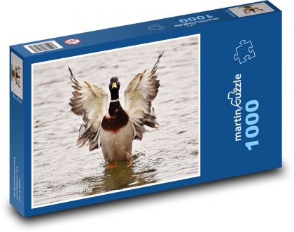Káčer - vodný vták - Puzzle 1000 dielikov, rozmer 60x46 cm