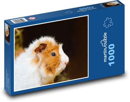 Morča - domáce zviera, mláďa - Puzzle 1000 dielikov, rozmer 60x46 cm