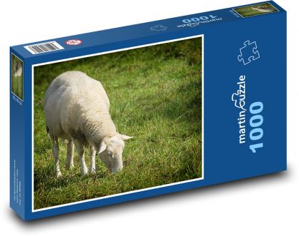 Ovce - pastvina, louka - Puzzle 1000 dílků, rozměr 60x46 cm