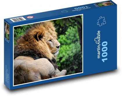 Lion - wild beast - Puzzle 1000 pieces, size 60x46 cm 