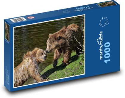 Medvěd hnědý - zvíře, hra - Puzzle 1000 dílků, rozměr 60x46 cm