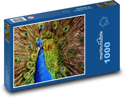 Peacock - feathers, animal - Puzzle 1000 pieces, size 60x46 cm 
