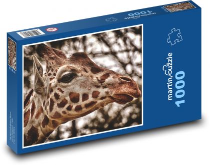 Žirafa - zoo, Afrika - Puzzle 1000 dílků, rozměr 60x46 cm
