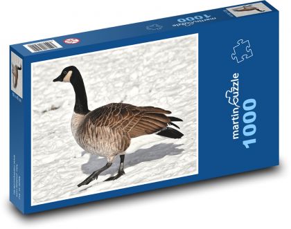 Divoká husa - vodní pták - Puzzle 1000 dílků, rozměr 60x46 cm
