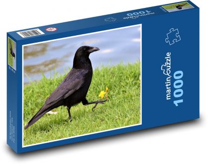 Vrána - pták, zvíře - Puzzle 1000 dílků, rozměr 60x46 cm
