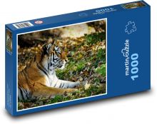 Tiger - dravec, veľká mačka Puzzle 1000 dielikov - 60 x 46 cm 