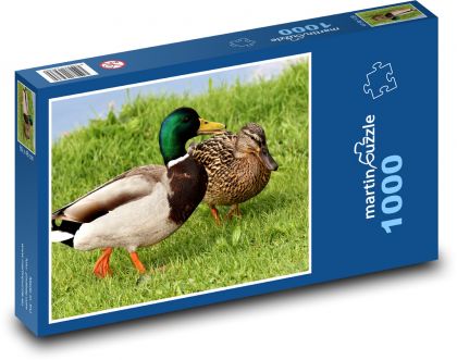 Wild ducks - duck, duck - Puzzle 1000 pieces, size 60x46 cm 