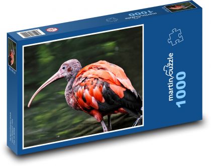 Ibis - mládě, pták - Puzzle 1000 dílků, rozměr 60x46 cm