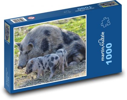 Prase s mláďaty - domácí zvířata, farma - Puzzle 1000 dílků, rozměr 60x46 cm