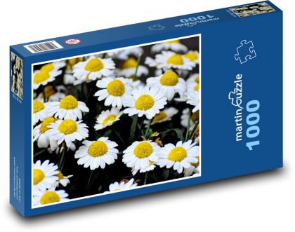 Sedmikráska - květiny, louka - puzzle 1000 dílků