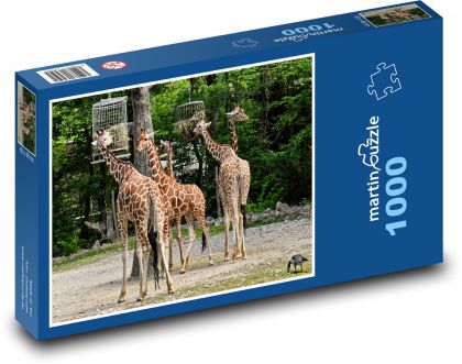 Žirafy - divoké zvíře, Afrika - Puzzle 1000 dílků, rozměr 60x46 cm