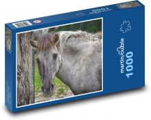 Divoký kůň - tarpan, zvíře Puzzle 1000 dílků - 60 x 46 cm