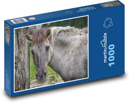 Divoký kůň - tarpan, zvíře - Puzzle 1000 dílků, rozměr 60x46 cm