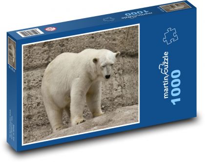 Lední medvěd - zvíře, dravec - Puzzle 1000 dílků, rozměr 60x46 cm