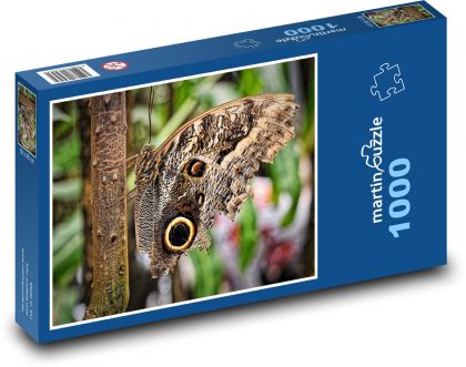 Motýl - hmyz, zvíře - Puzzle 1000 dílků, rozměr 60x46 cm