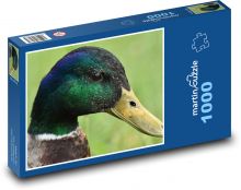 Kačer - vodní pták Puzzle 1000 - 60x46 cm