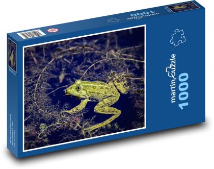 Žába - rybník, zvíře - Puzzle 1000 dílků, rozměr 60x46 cm