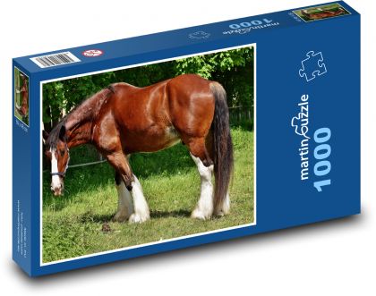 Kůň - farma, zvíře - Puzzle 1000 dílků, rozměr 60x46 cm