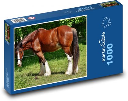 Pferd im Gehege - Puzzle - 1000 Teile