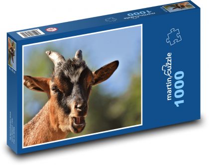 Koza - zvíře, rohy - Puzzle 1000 dílků, rozměr 60x46 cm
