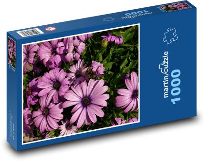 Gerbera - lila Blume, Sommer - Puzzle - 1000 Teile