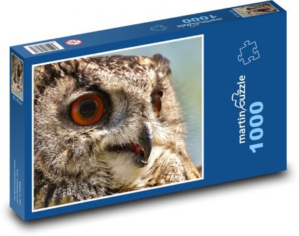 Owl - bird, animal - Puzzle 1000 pieces, size 60x46 cm 