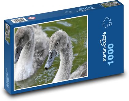 Labute - mláďa, vodný vták - Puzzle 1000 dielikov, rozmer 60x46 cm