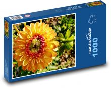 Žltá georgína - kvet, rastlina Puzzle 1000 dielikov - 60 x 46 cm 