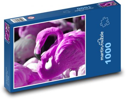 Plameňák - vodní pták, zvíře - Puzzle 1000 dílků, rozměr 60x46 cm