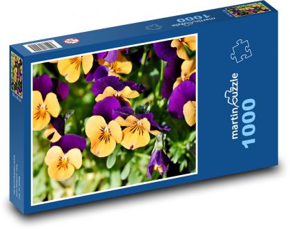 Maceška - jar, kvet - Puzzle 1000 dielikov, rozmer 60x46 cm