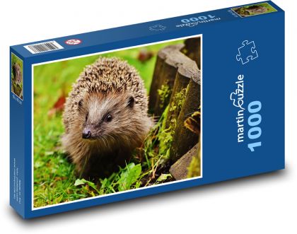 Mladý ježko - zviera, les - Puzzle 1000 dielikov, rozmer 60x46 cm