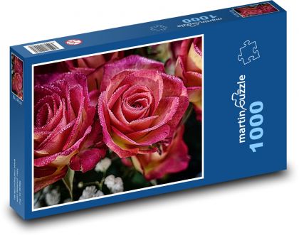 Růže - květ, příroda - Puzzle 1000 dílků, rozměr 60x46 cm