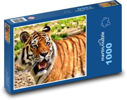 Tygr - dravec, velká kočka - Puzzle 1000 dílků, rozměr 60x46 cm