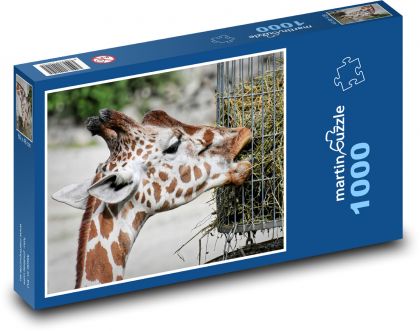 Giraffe - wildes Tier, Natur - Puzzle - 1000 Teile