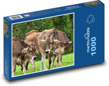 Kravy - farma, zvieratá - Puzzle 1000 dielikov, rozmer 60x46 cm
