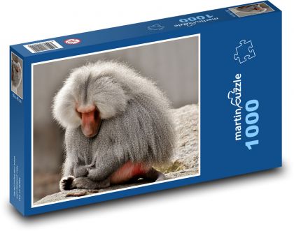 Pavián - opice, zoo - Puzzle 1000 dielikov, rozmer 60x46 cm