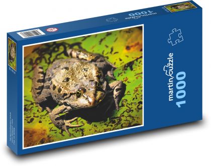Žába - rybník, zvíře - Puzzle 1000 dílků, rozměr 60x46 cm