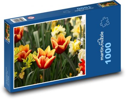 Flowering tulips - Puzzle 1000 pieces, size 60x46 cm 