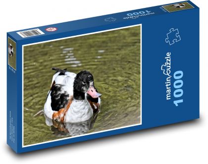 Kachna - vodní pták, rybník - Puzzle 1000 dílků, rozměr 60x46 cm