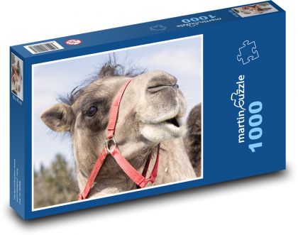 Velbloud - zvíře, savec - puzzle 1000 dílků