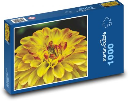 Yellow Dahlia - Garden Flower - Puzzle 1000 pieces, size 60x46 cm 