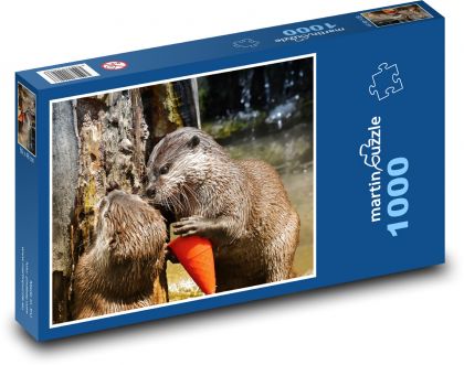 Otter mit Spielzeug - Puzzle - 1000 Teile