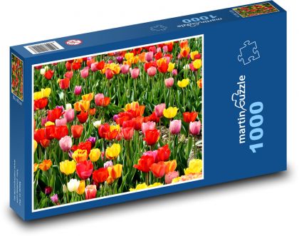Tulipány - zahrada, jarní květiny - Puzzle 1000 dílků, rozměr 60x46 cm